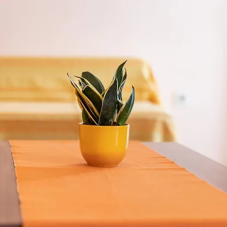 Rajkaapp Apartmán